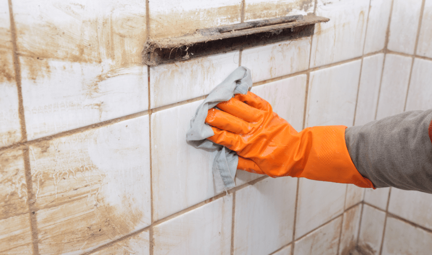 DEEP CLEANING